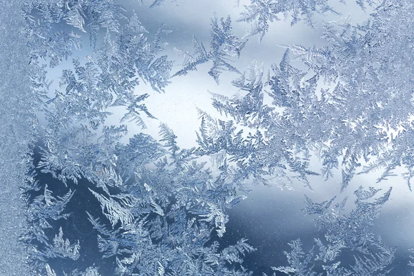 Frost kış desen