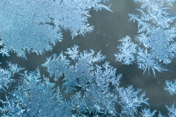 Frost patronen ter venster — Stockfoto