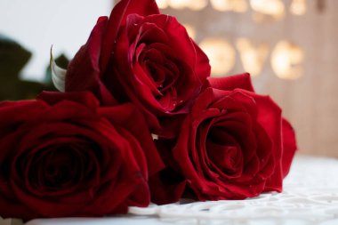 Pencerede güzel bir gül. Kutlama.