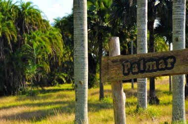 Yoldaki işaret levhası. Küba 'nın Ulusal Botanik Bahçesi. Havana şehri