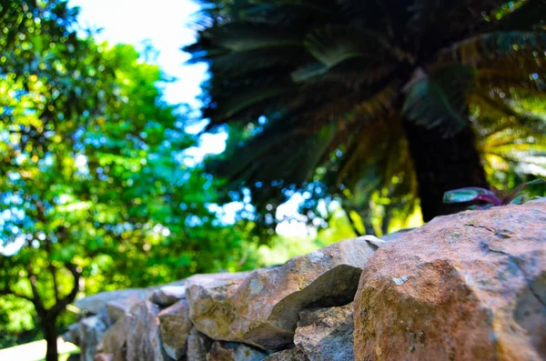 Primo Piano Dei Lavori Pietra Nell Orto Botanico Della Città — Foto Stock