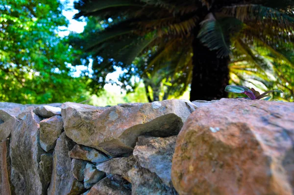 Gros Plan Sur Maçonnerie Jardin Botanique Ville Havane République Cuba — Photo