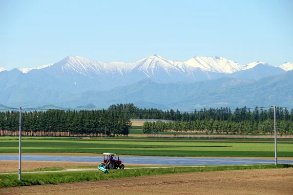 Beyaz dağ manzaralı ekili arazi