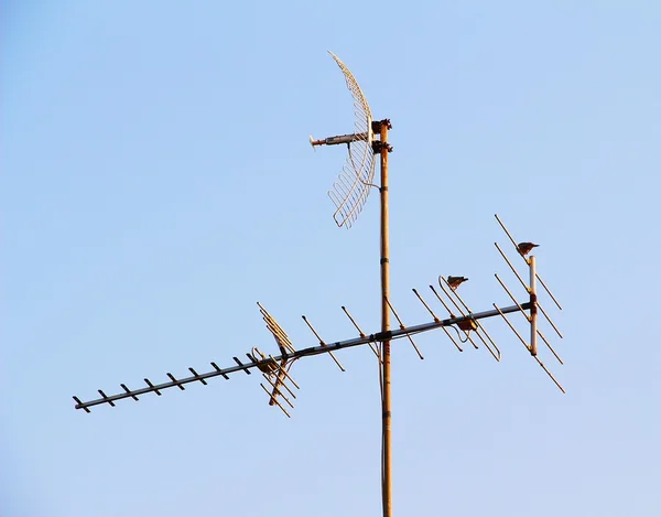 Televizyon antenler veya hava