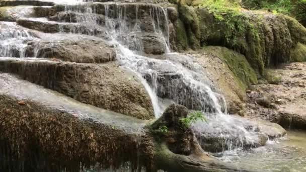 Sonido Cascada Sonido Agua Cascada Pequeña Bosque Tropical — Vídeo de stock