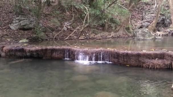 Small Waterfall Sound Water Small Waterfall Tropical Forest — Stock Video
