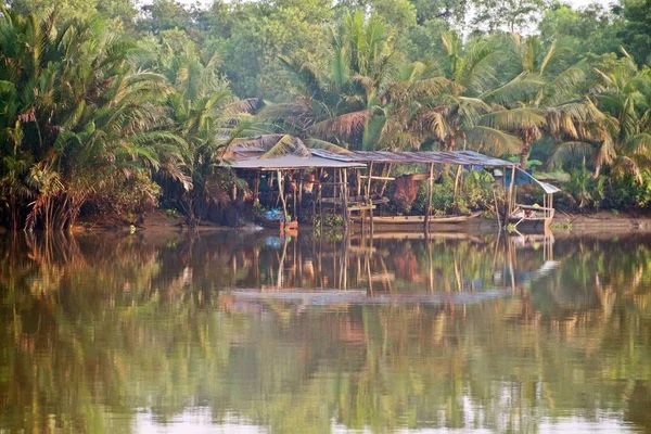 Lokaal Huis Leven Het Mangrove Bos Het Platteland Van Thailand — Stockfoto