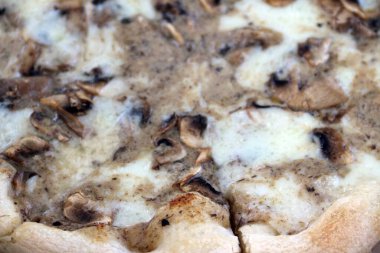 Taze mantarlı pizza.