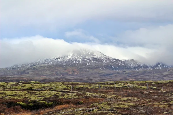 Grote witte berg en groene mos veld in IJsland — Stockfoto