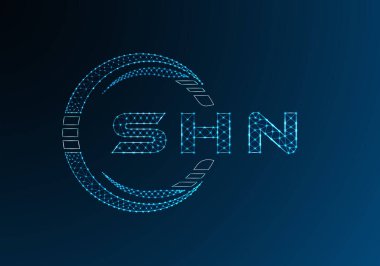 SHN düşük poli harfli logo vektör tasarımı. SHN düşük polyester logo tasarımı. Düşük polyester logo.