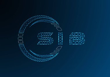 SIB düşük poli harfli logo vektör tasarımı. SIB alt poli logo tasarımı. Düşük polyester logo.