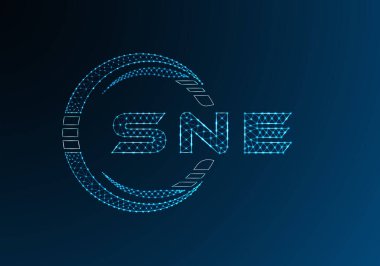 SNE düşük poli harfli logo vektör tasarımı. SNE düşük polyester logo tasarımı. Düşük polyester logo.