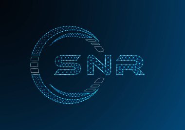 SNR düşük poli harfli logo vektör tasarımı. SNR düşük poli logo tasarımı. Düşük polyester logo.