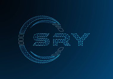 SRY düşük poli harfli logo vektör tasarımı. SRY düşük polyester logo tasarımı. Düşük polyester logo.