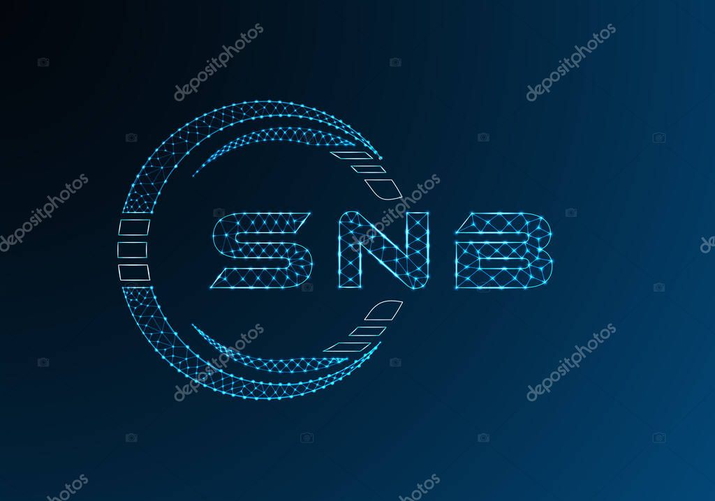 SNB low poly letter logo vector design. SNB lower poly logo design. Low poly logo.