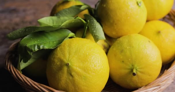 Bergamota Naranja Fruta Calabria Italia — Vídeos de Stock