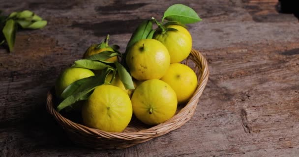 Bergamota Laranja Fruta Calábria Itália — Vídeo de Stock