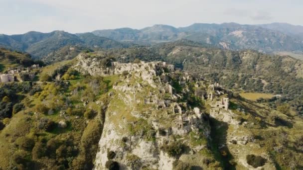 Bergamota Naranja Fruta Calabria Italia — Vídeos de Stock