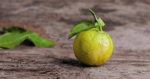 Bergamot Orange Ovoce Kalábrie Itálii — Stock video