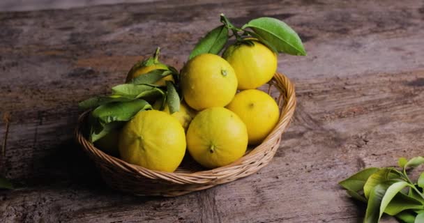 Bergamota Naranja Fruta Calabria Italia — Vídeo de stock