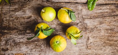 İtalyan Bergamot Portakal meyvesi sepete