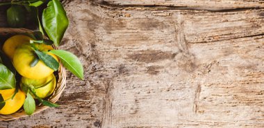 İtalyan Bergamot Portakal meyvesi sepete