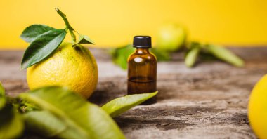 İtalyan Bergamot Portakal meyvesi sepete