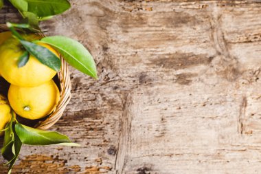 İtalyan Bergamot Portakal meyvesi sepete