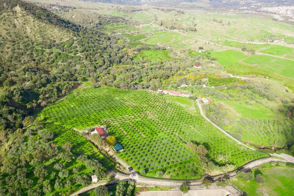 Paisaje Rural Calabria Con Rodaje Aéreo Campo Colina — Foto de Stock