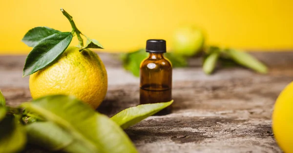 Italian Bergamot Orange Fruit Basket — Stock Photo, Image