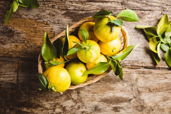 İtalyan Bergamot Portakal meyvesi sepete