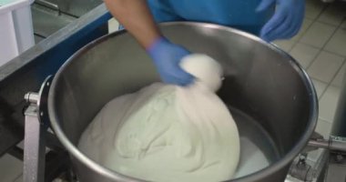 Süt ürünlerinde mozzarella peyniri yapan adamın yakın çekim görüntüleri.