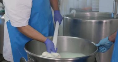 Süt ürünlerinde mozzarella peyniri yapan adamların yakın çekim görüntüleri.
