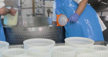 Süt ürünlerinde mozzarella peyniri yapan adamların yakın çekim görüntüleri.