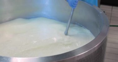 Süt ürünlerinde mozzarella peyniri yapan adamın yakın çekim görüntüleri.