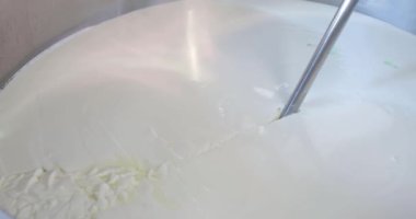 Süt ürünlerinde mozzarella peyniri yapan adamın yakın çekim görüntüleri.