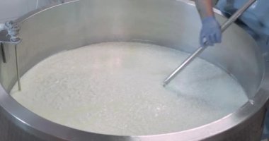 Süt ürünlerinde mozzarella peyniri yapan adamın yakın çekim görüntüleri.