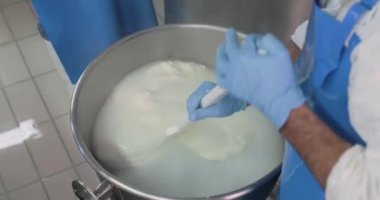 Süt ürünlerinde mozzarella peyniri yapan adamların yakın çekim görüntüleri.