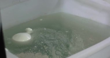 Süt ürünlerinde mozzarella peyniri yapan adamın yakın çekim görüntüleri.