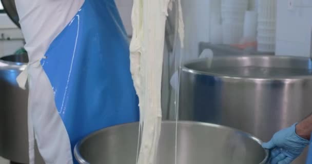 Images Rapprochées Hommes Fabriquant Fromage Mozzarella Dans Une Laiterie — Video