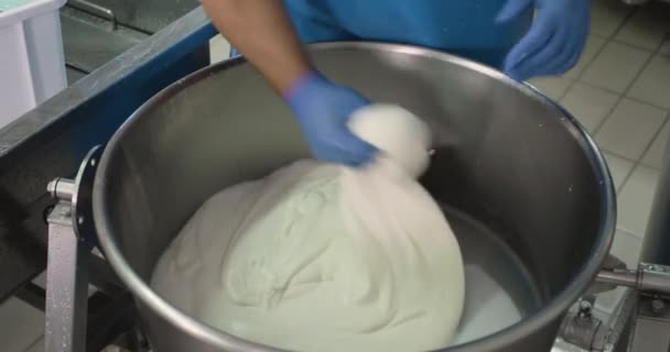 우유를 모차렐라 치즈를 만드는 남자의 — 비디오