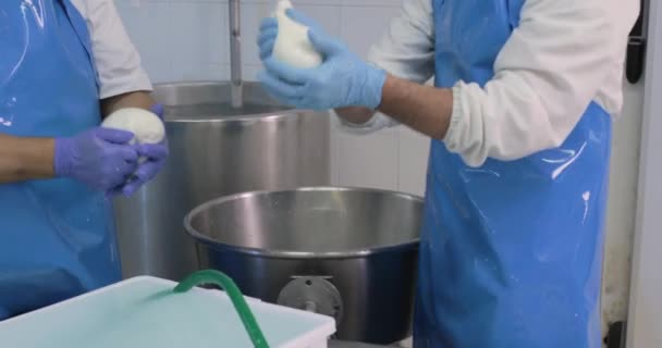 Images Rapprochées Hommes Fabriquant Fromage Mozzarella Dans Une Laiterie — Video