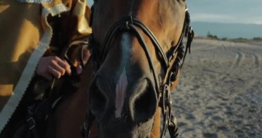 Gündüz vakti okyanus kıyısında ata binen Viking. 