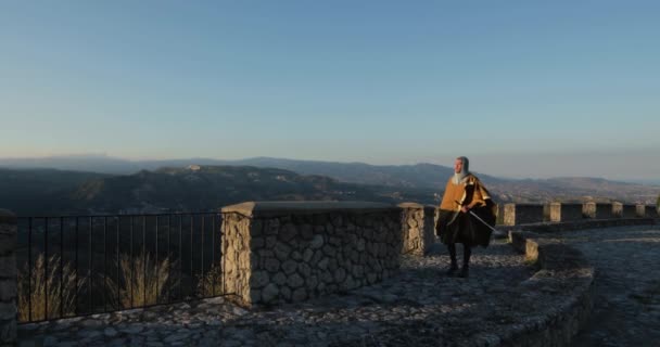 Βίκινγκ Πανοπλία Στο Παλιό Φρούριο — Αρχείο Βίντεο