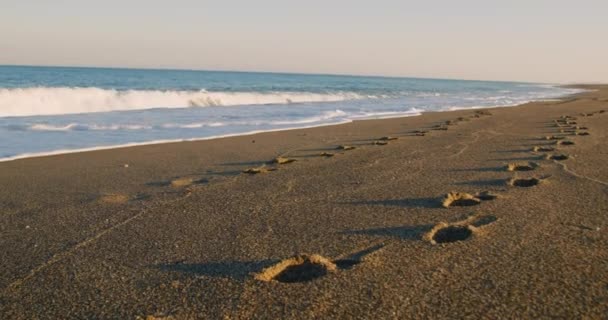 Playa Vacía Con Huellas Frente Del Mar — Vídeos de Stock