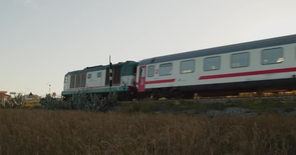 Zug Fährt Sommer Tagsüber Mit Der Bahn — Stockvideo