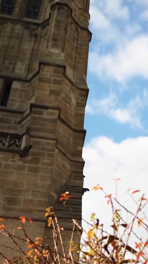 Paris França Circa Novembro 2019 Catedral Notre Dame Hiper Lapso — Vídeo de Stock