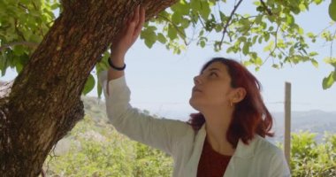 Yaz bahçesinde çalışan genç bir kadın tarım uzmanı. Kızıl saçlı kadın gündüzleri ağaçları kontrol ediyor.