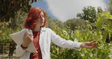 Yaz bahçesinde çalışan genç bir kadın tarım uzmanı. Kızıl saçlı kadın gün içinde çiftlikte bitkileri kontrol ediyor.