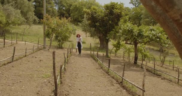 Tânăra Agronomă Lucrează Grădina Vară Roscata Femeie Verificarea Paturi Fermă — Videoclip de stoc